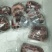 【产地直发包邮】纯梅花鹿肉