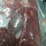 【产地直发包邮】纯梅花鹿肉