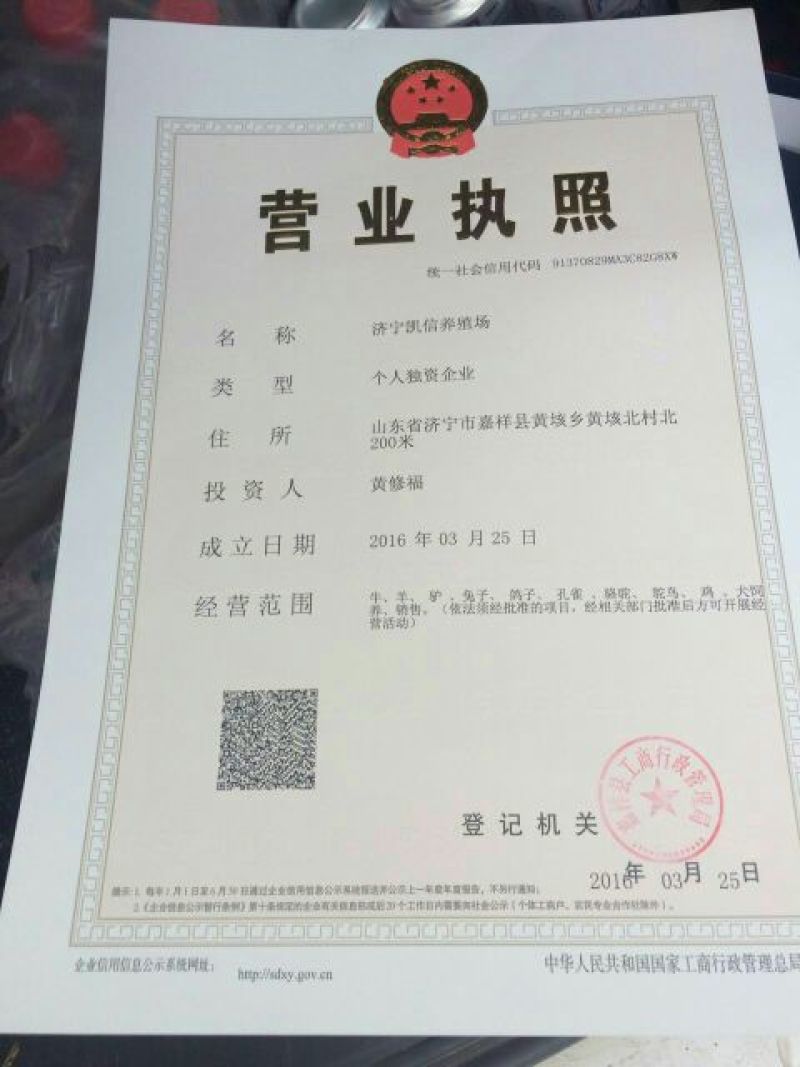 西门塔尔牛200~300斤