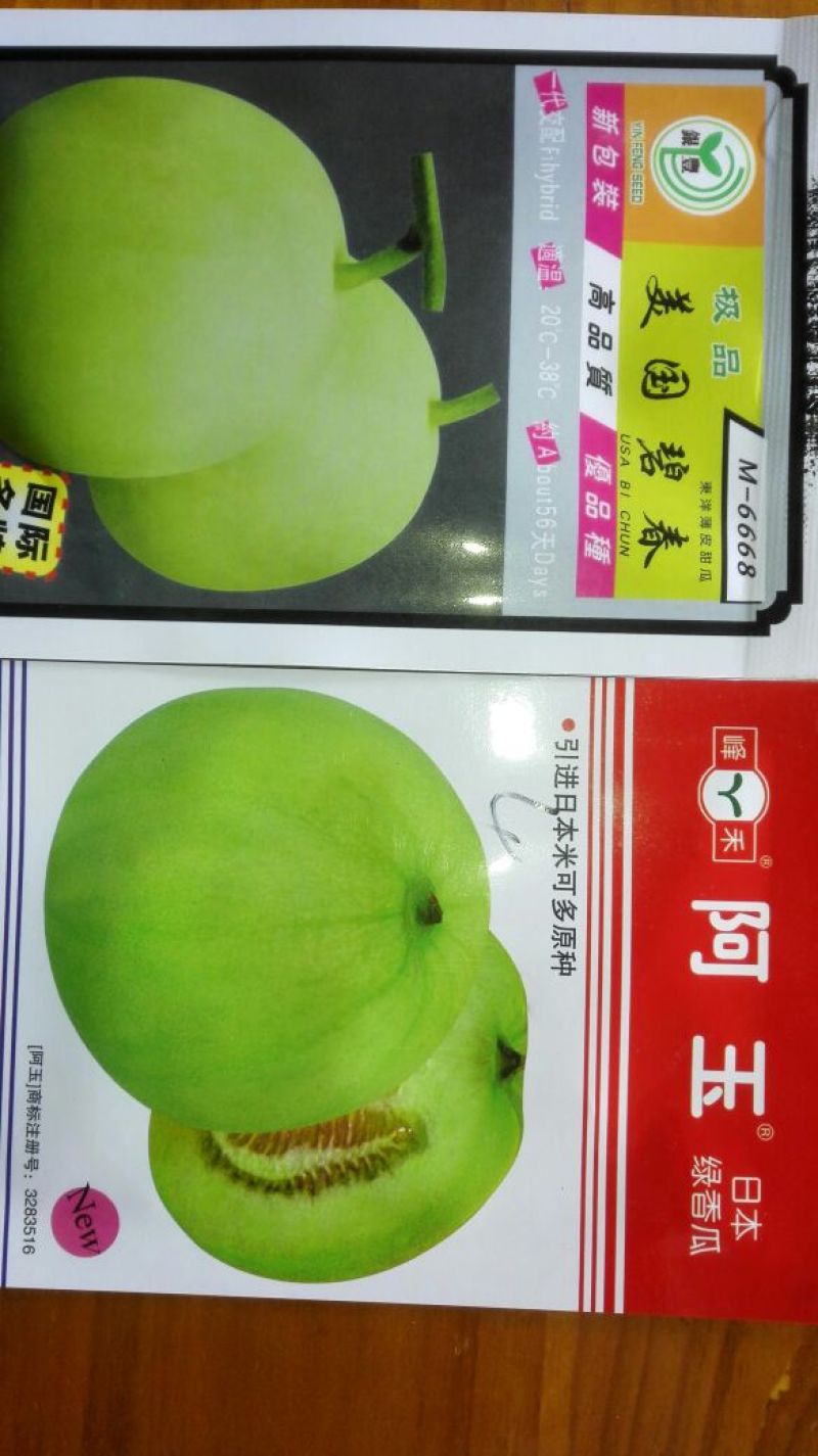 甜瓜种子