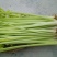 芹菜45cm以上