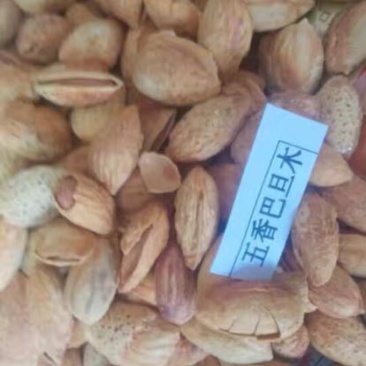 新疆巴旦木