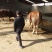 育肥牛犊100~200kg
