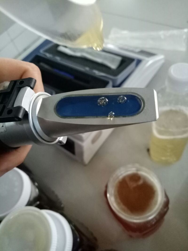 龙眼蜜1斤