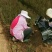 侧柏侧柏苗销售全国容器袋侧柏常年绿色支持线上交易
