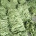 扁青芸豆