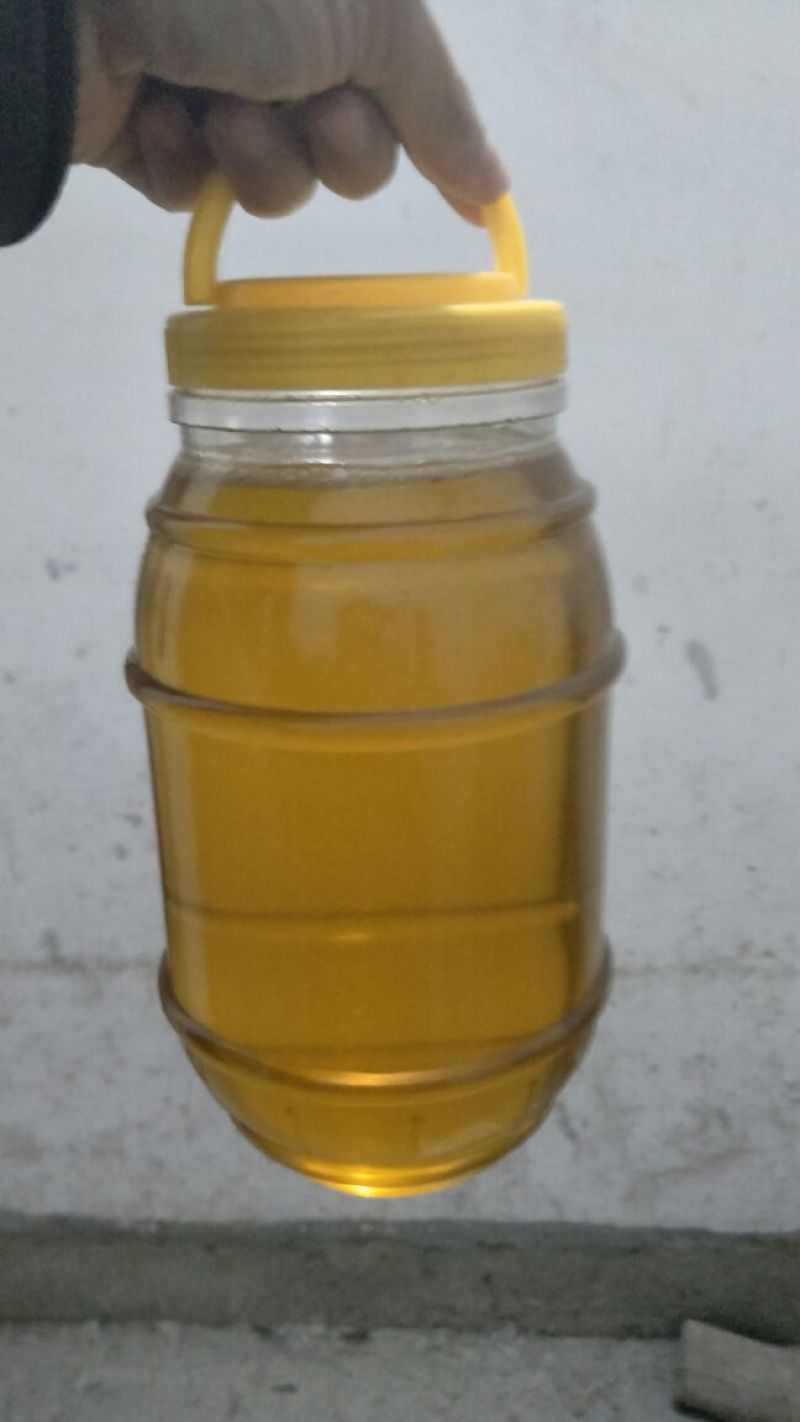 山茶油