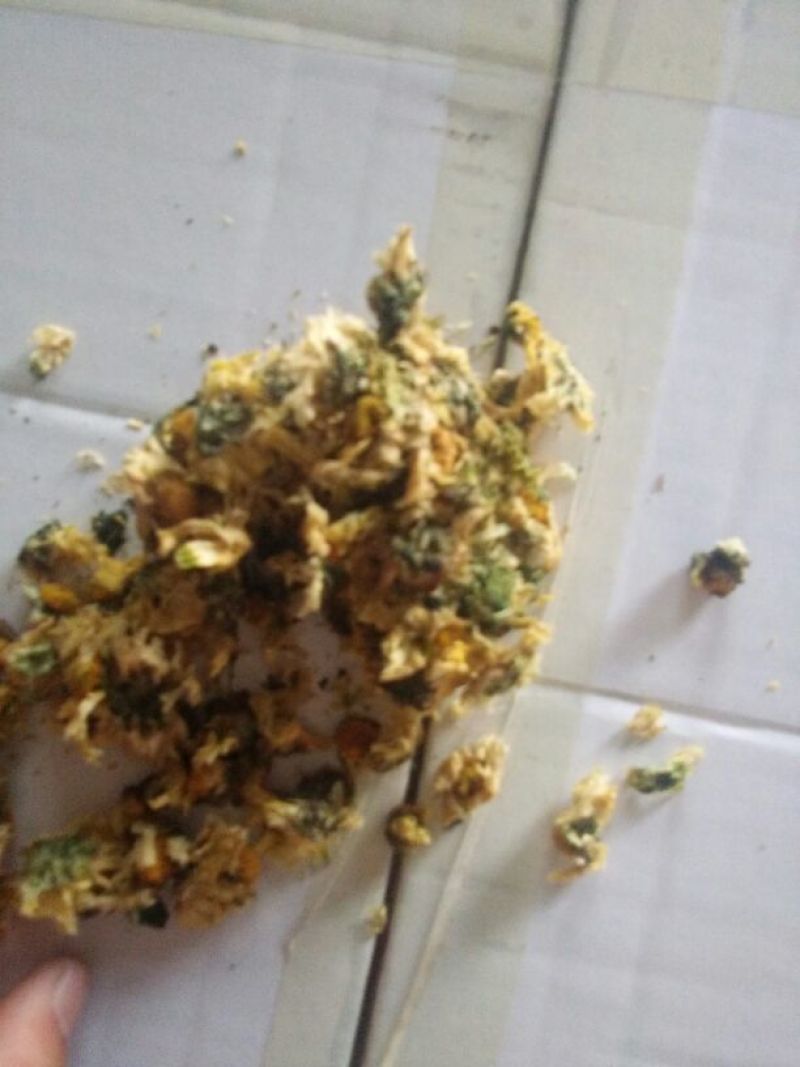 白菊花茶