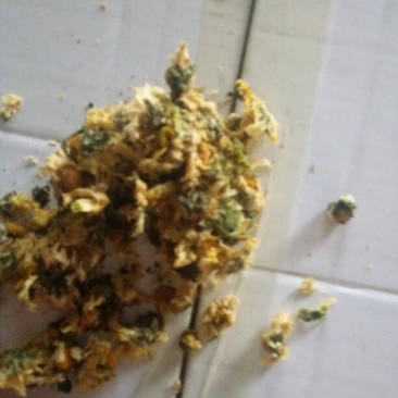 白菊花茶
