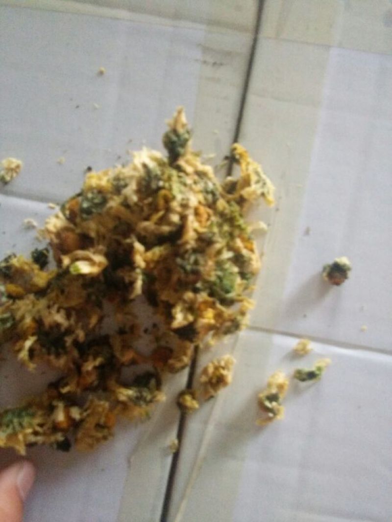 白菊花茶