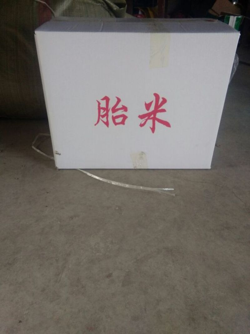 白菊花茶
