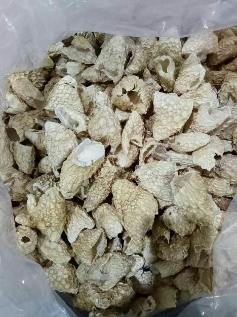 长裙竹荪特级