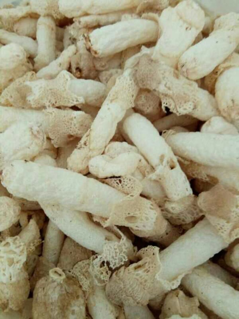 竹荪特级