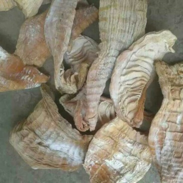 笋干淡笋干