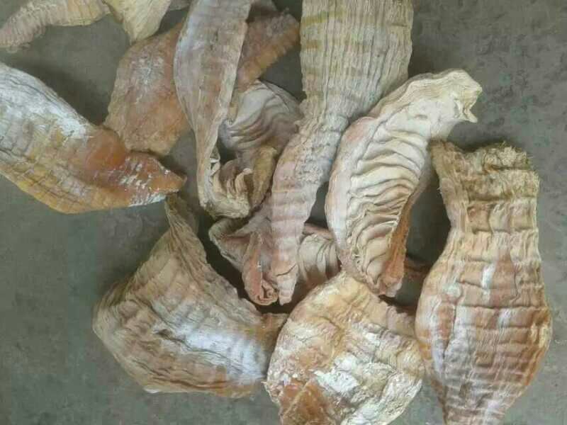 笋干淡笋干