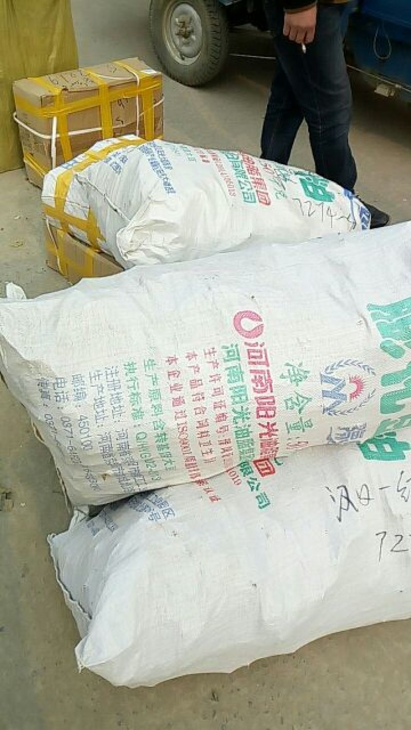 树莓苗10~30cm优质成熟品种