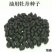 油牡丹苗10~20cm