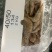 南美白对虾食用冻虾