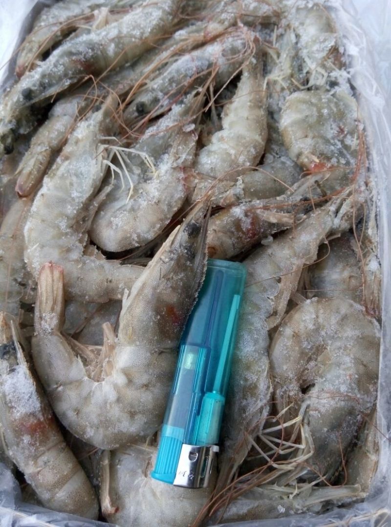 南美白对虾食用冻虾