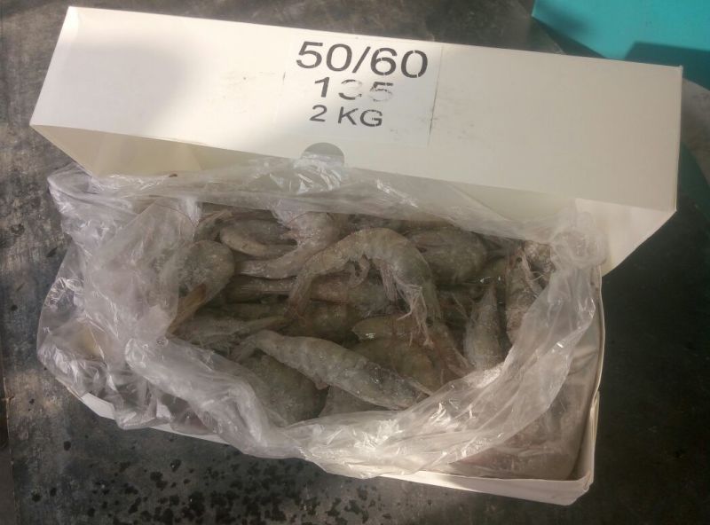 南美白对虾食用冻虾