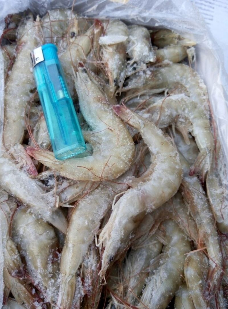 南美白对虾食用冻虾