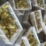 皖西白鹅苗250g以下