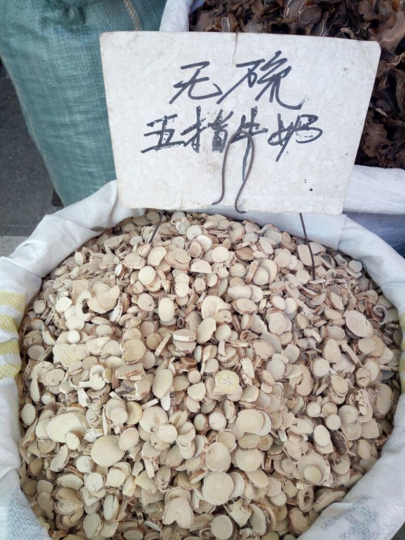 五指毛桃中根