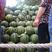 山东潍坊红玉西瓜，大量上市，直供电商超市批发市场