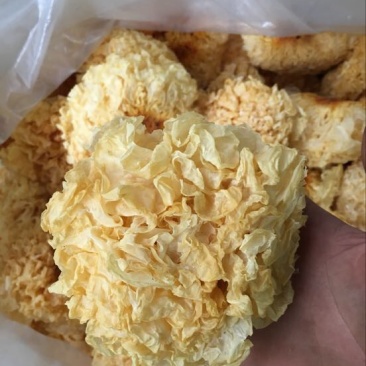 福建银耳产地一手直销价