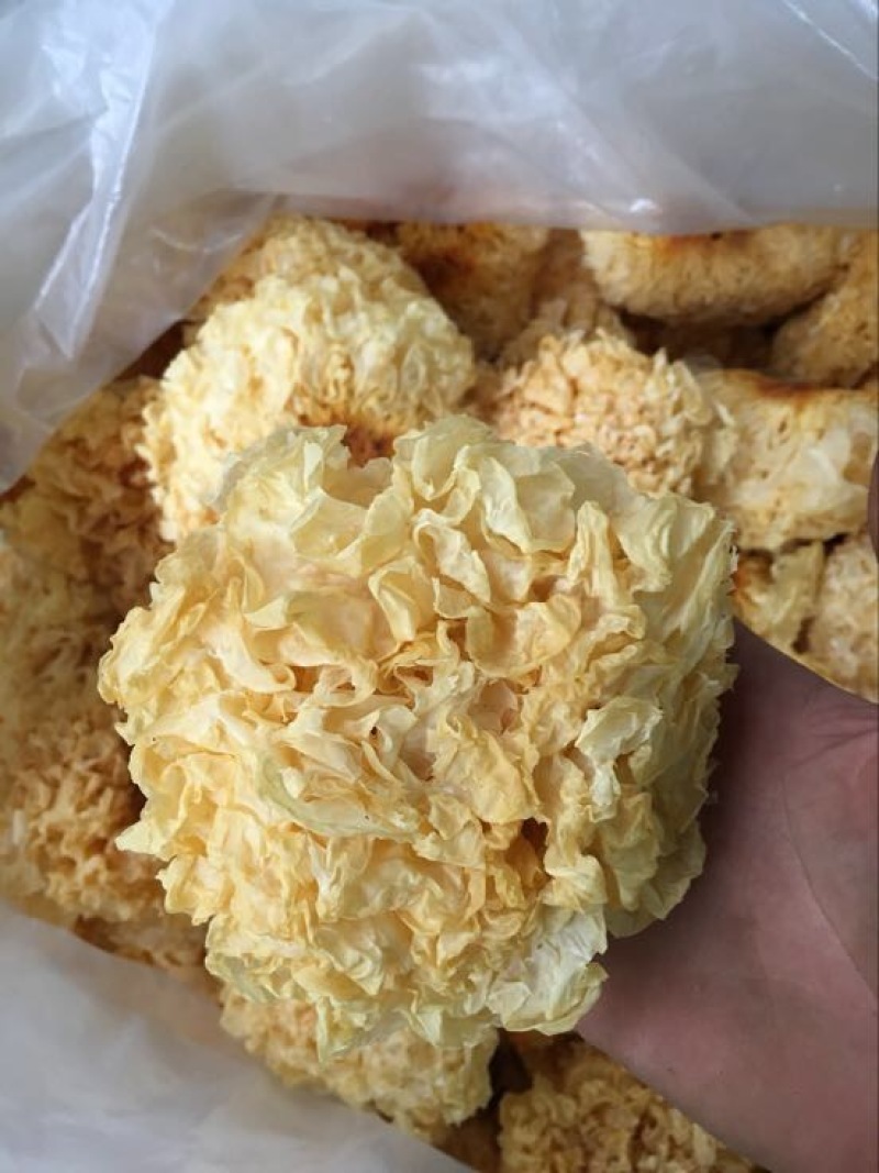 福建银耳产地一手直销价