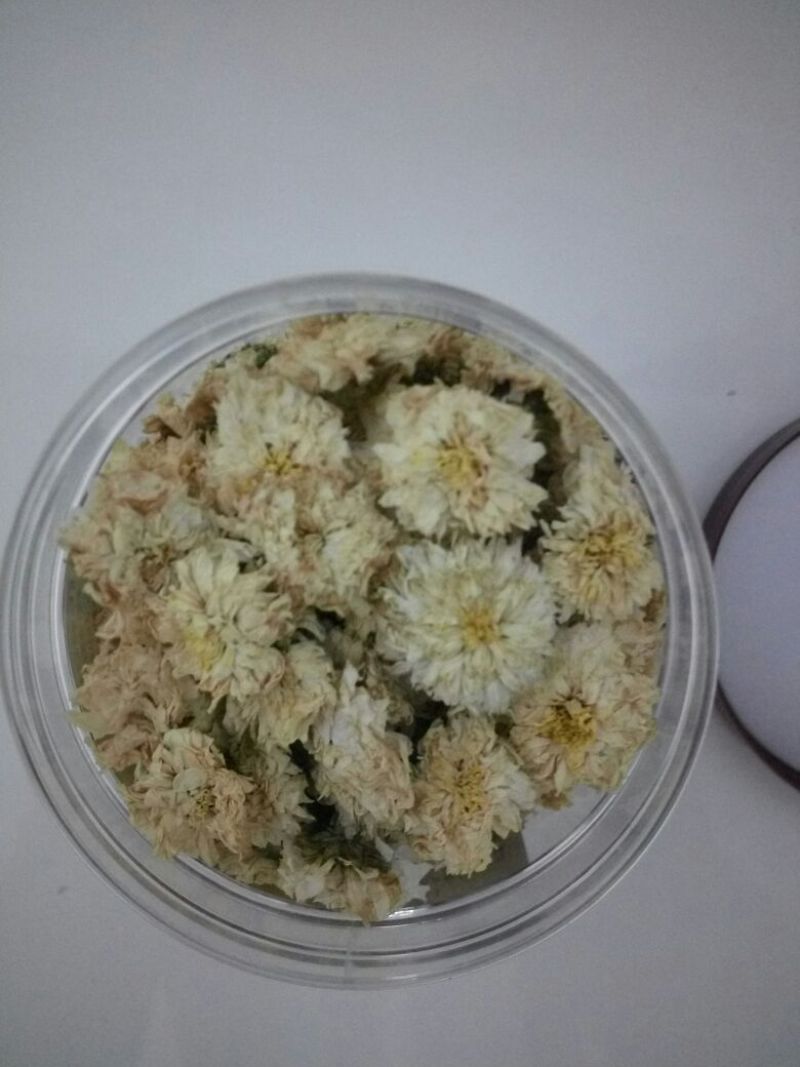 菊花茶