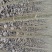 合欢2~4cm