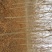 合欢2~4cm