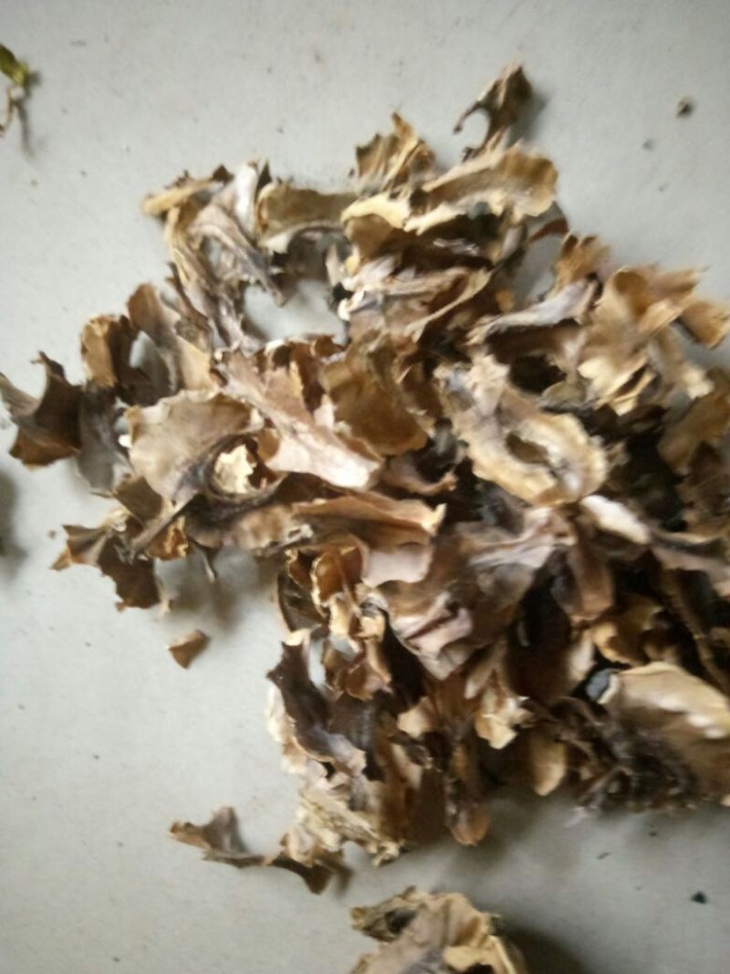 分心木，新疆核桃分心木，片大颜色好，量大优惠
