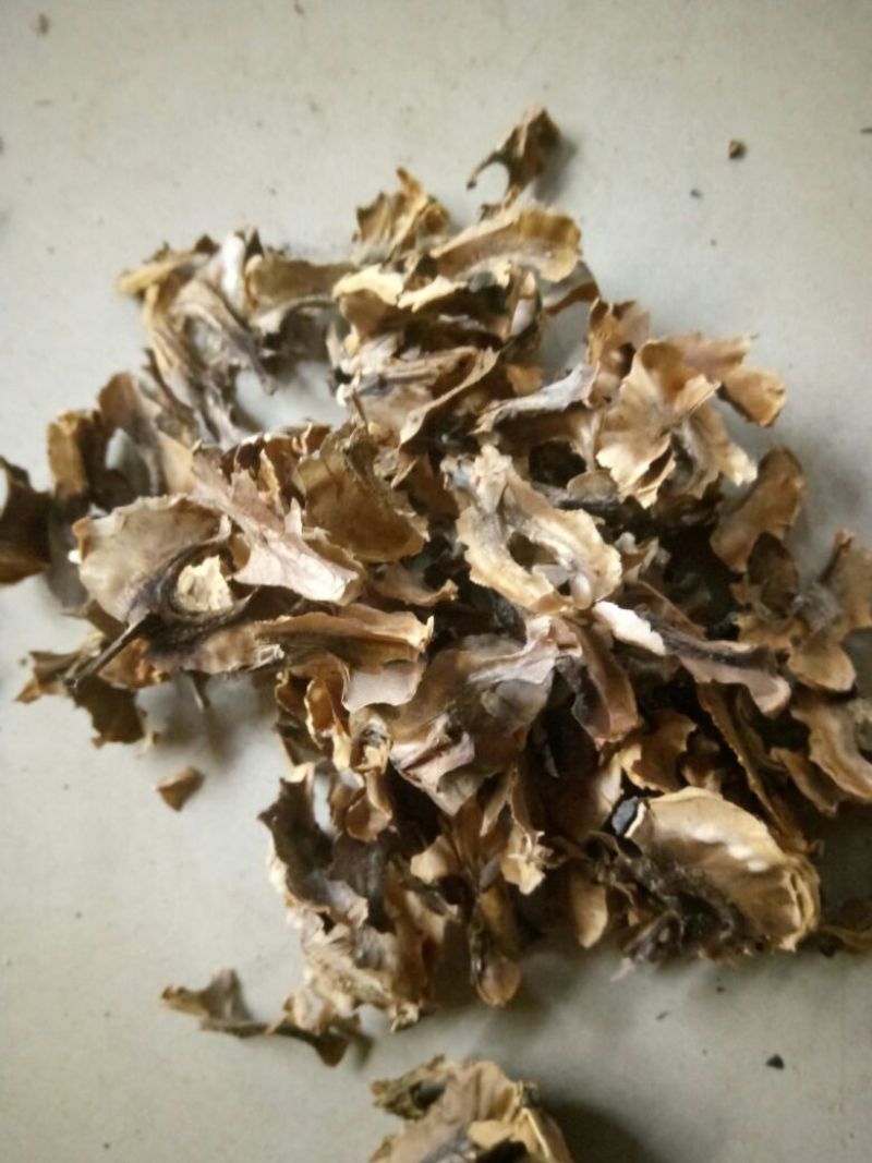 分心木，新疆核桃分心木，片大颜色好，量大优惠