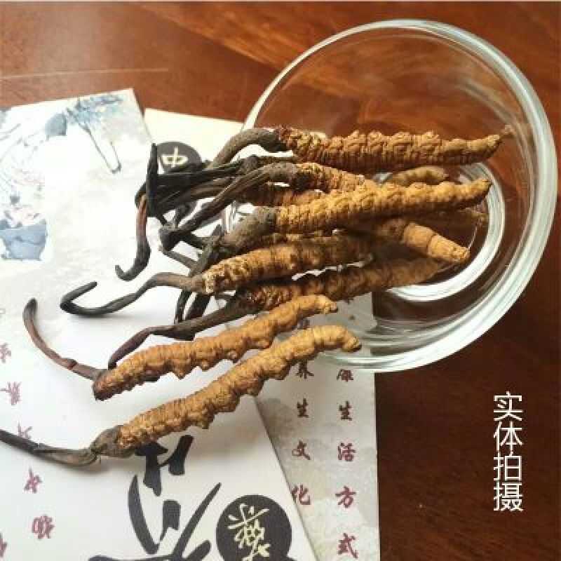 冬虫夏草盒装