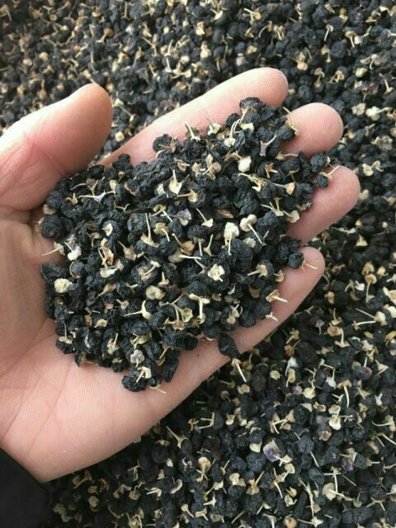 黑枸杞干货头茬