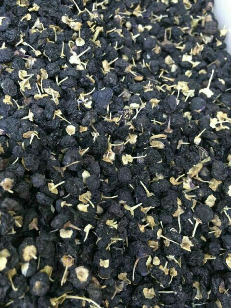 黑枸杞干货头茬