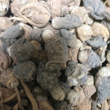 黑玛卡黄色