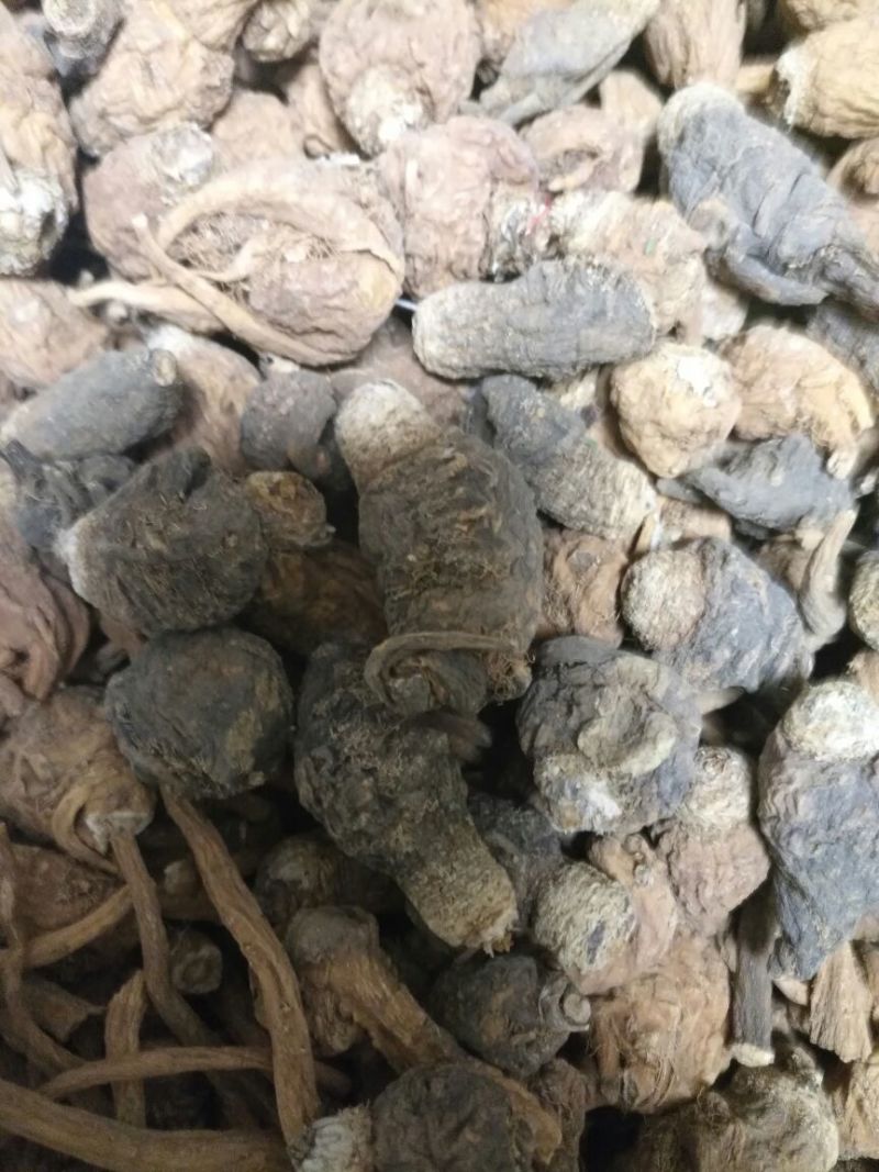 黑玛卡黄色