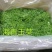 干黄花菜袋装二级