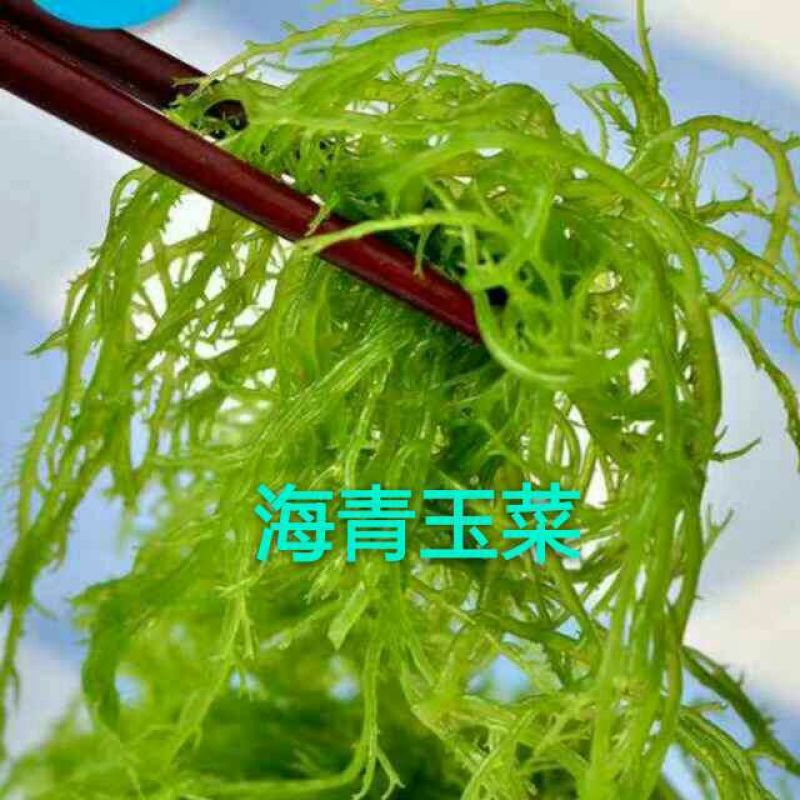 干黄花菜袋装二级