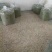 山茶特级