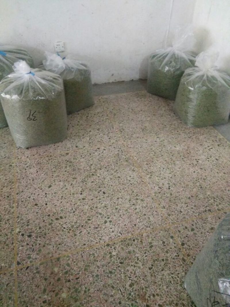 山茶特级