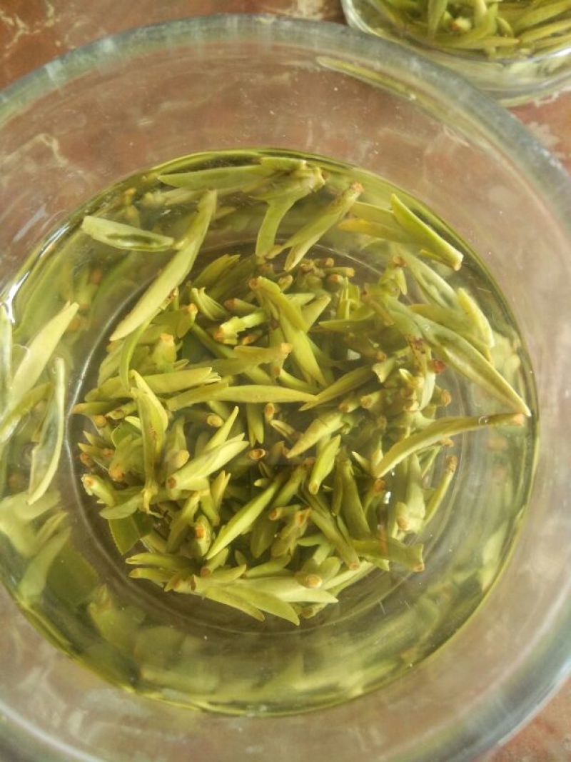 山茶特级