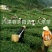 山茶特级