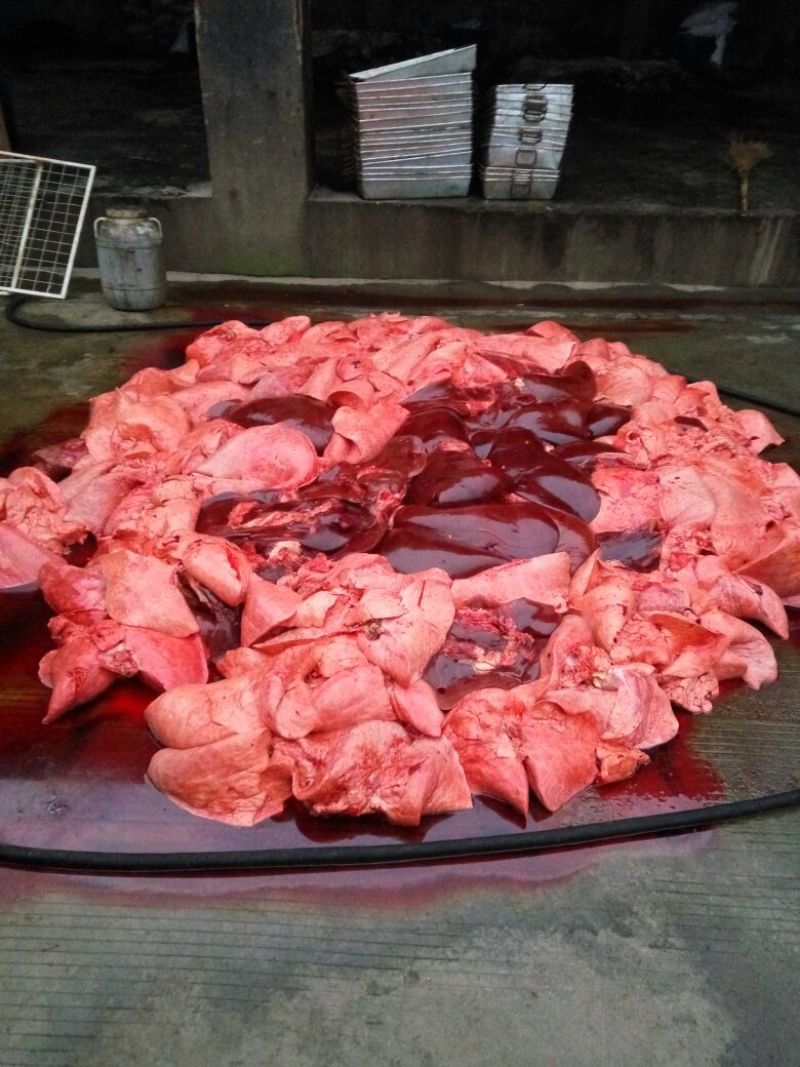 牛杂冷冻