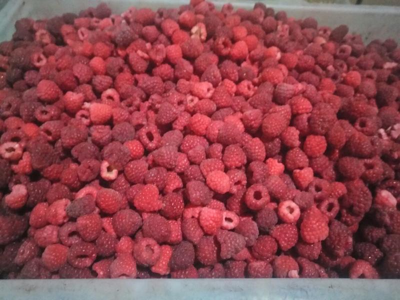 树莓果冻果，速冻红树莓果，红树莓果，速冻红树莓碎粒果