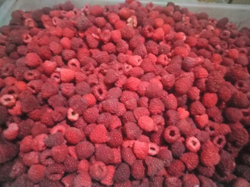 树莓果冻果，速冻红树莓果，红树莓果，速冻红树莓碎粒果