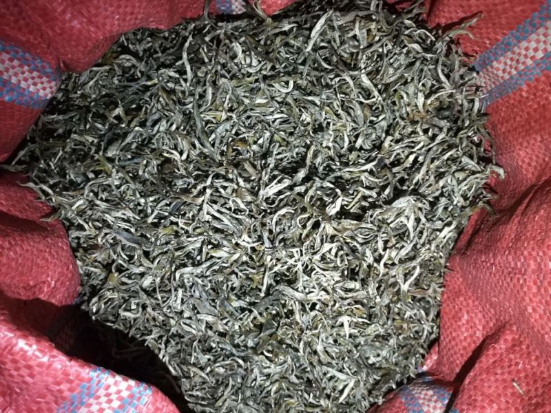 普洱茶